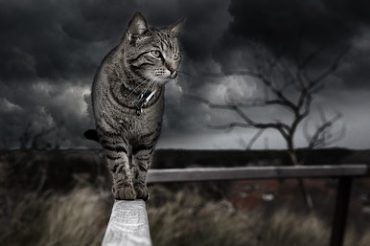 Syndrom „Byle do … „