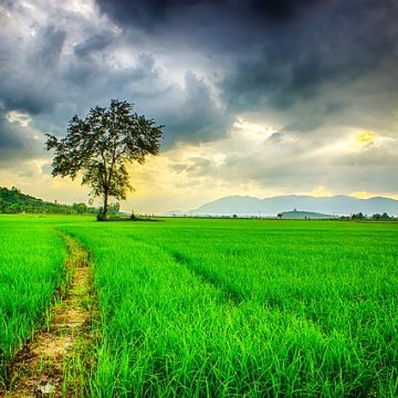 Przestrzeń życiowa.