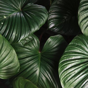 Myśli w mojej głowie