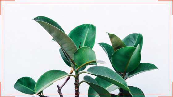 Po co nam te wszystkie rzeczy?