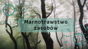 Las spowity mgłą i napis na zielnym tle:Marnotrawstwo zasobów"