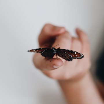 Pomyłki się zdarzają.