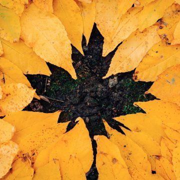 Co robi jesieniara? Za co lubię jesień? TOP 5