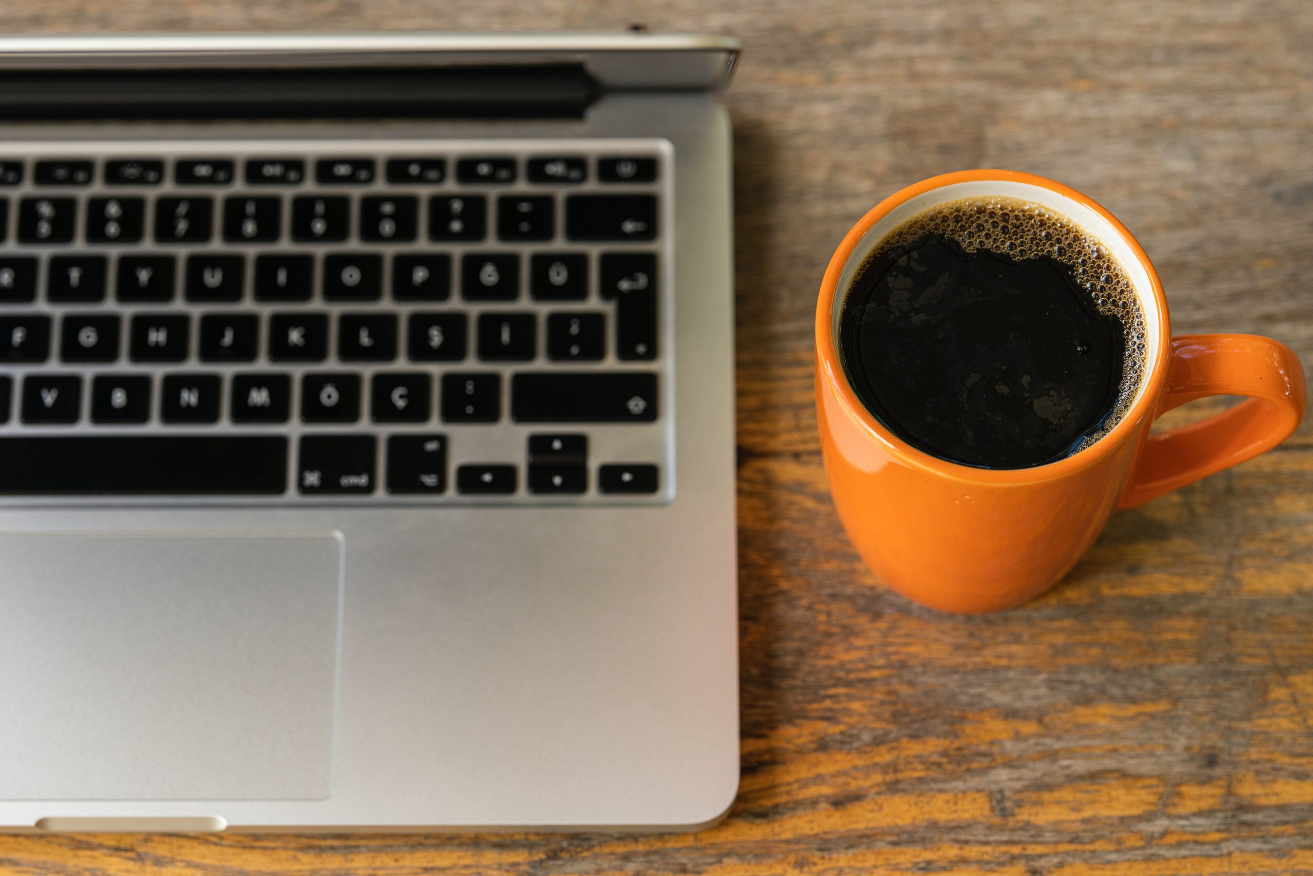 wordpress wtyczki