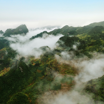 Motywacja nieodnaleziona